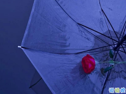 好心累的愛情說說帶圖片 心累想放棄的句子3