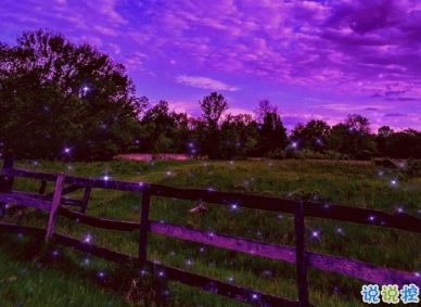 朋友圈走心文案溫柔句子 希望你好平安最好1