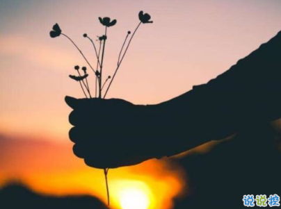 唯美說說心情句子帶圖片 既然生便與夏花一樣的絢爛11