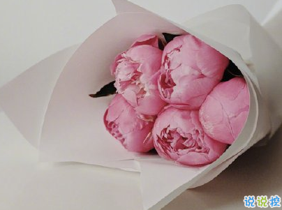 唯美說說心情句子帶圖片 既然生便與夏花一樣的絢爛7