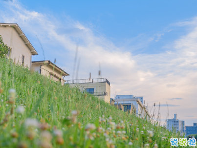 唯美說說心情句子帶圖片 既然生便與夏花一樣的絢爛2