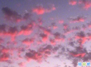 詩(shī)意文案唯美溫柔 文藝富有詩(shī)意的句子2