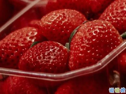 夏日神仙短句帶圖片 盛夏微信句子大全6