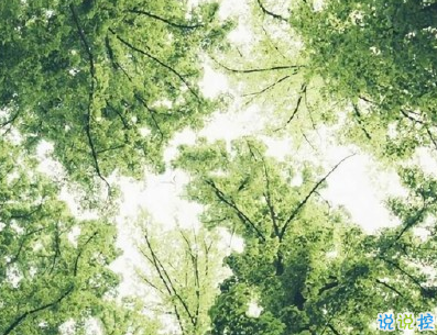 早安心語唯美句子 比較優(yōu)美的早安句子帶圖片7