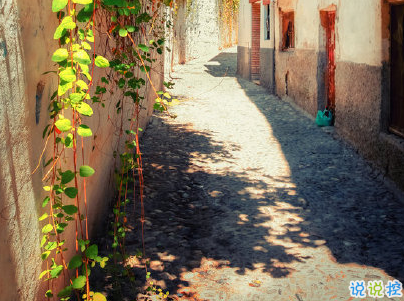 早安心語唯美句子 比較優(yōu)美的早安句子帶圖片13