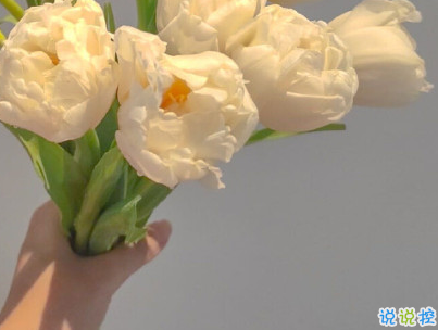 早安心語唯美句子 比較優(yōu)美的早安句子帶圖片11