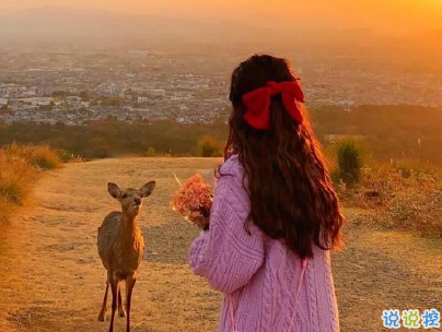 早安心語唯美句子 比較優(yōu)美的早安句子帶圖片8