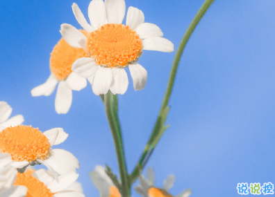 聽起來很舒服的早安句子 早安心語簡單簡短2