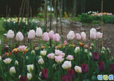 簡短浪漫唯美句子 幸無所愛無畏山海1