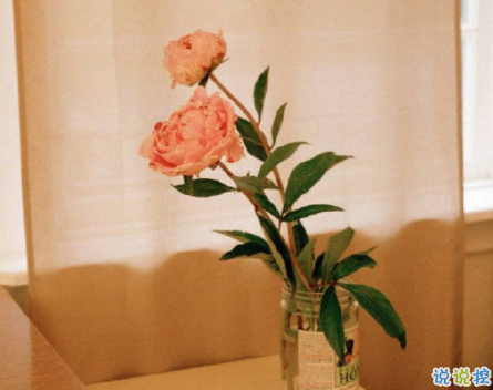 看透了一切傷感說說心累 最怕深交后的陌生2