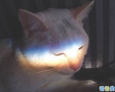 一個(gè)人深夜發(fā)的傷感說(shuō)說(shuō)帶圖片 聚散離合都在情理之中6