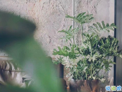 一個(gè)人深夜發(fā)的傷感說(shuō)說(shuō)帶圖片 聚散離合都在情理之中8