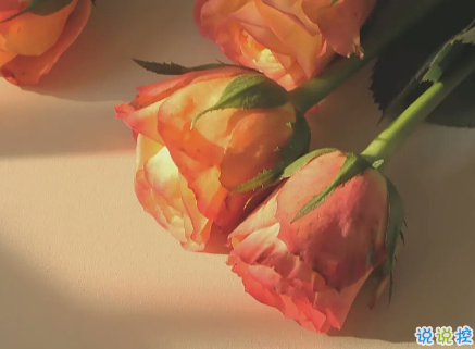 一個(gè)人熬過了所有的說說傷感 愿生活會(huì)變成我想要的樣子1