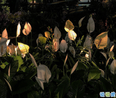 感悟愛情的句子傷感帶圖片 陰沉天空中有一小束照著你的陽光9