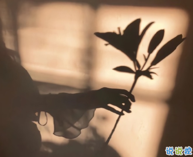 感悟愛情的句子傷感帶圖片 陰沉天空中有一小束照著你的陽光11