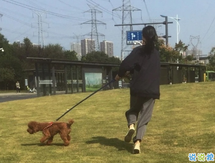 2020精辟搞笑說(shuō)說(shuō)開心幽默 如果喝水都會(huì)胖為啥不喝奶茶呢1