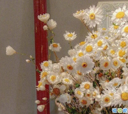 很暖很治愈的短句帶唯美圖片 打不開的心結(jié)就系成蝴蝶結(jié)3