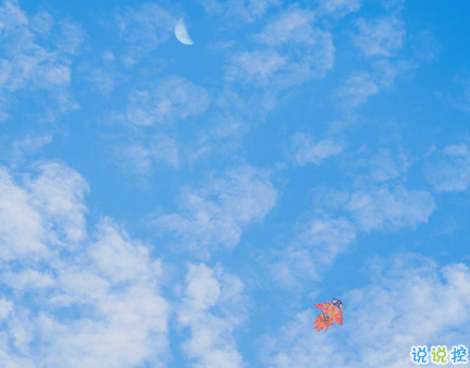 很暖很治愈的短句帶唯美圖片 打不開的心結(jié)就系成蝴蝶結(jié)5