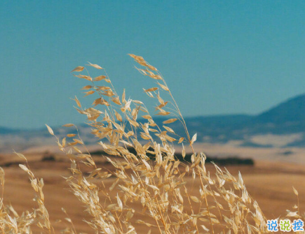 很暖很治愈的短句帶唯美圖片 打不開的心結(jié)就系成蝴蝶結(jié)11