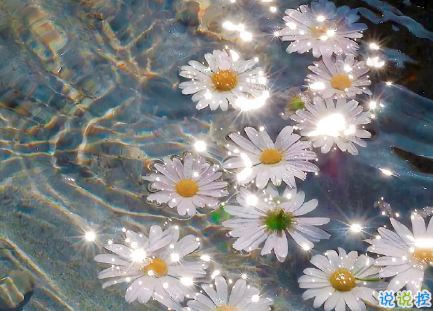 八月早安勵志正能量的句子帶圖片 乘風(fēng)破浪讓自己發(fā)光12