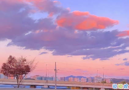 八月早安勵志正能量的句子帶圖片 乘風(fēng)破浪讓自己發(fā)光14