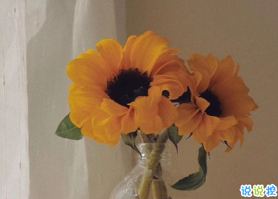 八月男生微信表白說說一句話 你的名字就是我最好的文案2