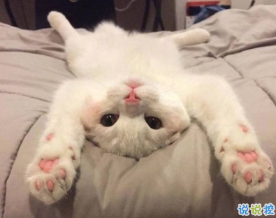 調(diào)皮搞怪的說說超短搞笑 明天再喜歡你吧我今天真的太困了1