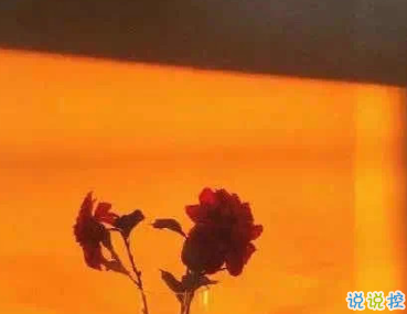 寶藏女孩專屬甜句超級溫柔 所有動聽的話配上實際行動才有意義12