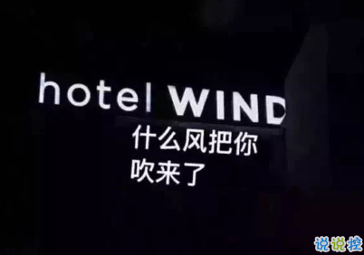 寶藏女孩專屬甜句超級溫柔 所有動聽的話配上實際行動才有意義13