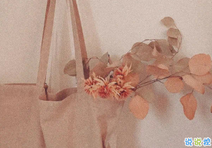 寶藏女孩專屬甜句超級溫柔 所有動聽的話配上實際行動才有意義8