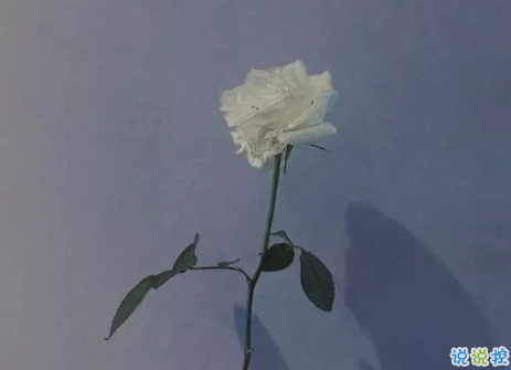 七月最后一天朋友圈說說月未 把時間用在進(jìn)步上而不是抱怨上2