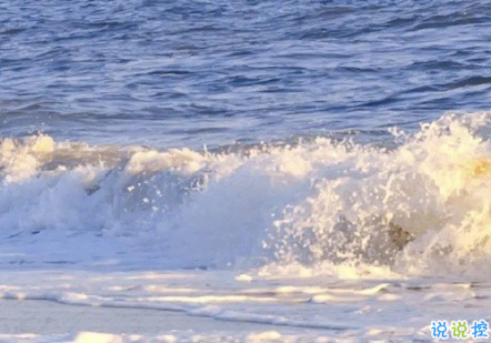 七月的尾巴八月的開始心情說(shuō)說(shuō) 你所有的努力都有跡可循1