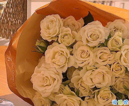 八月第一天經(jīng)典朋友圈帶圖片說說 遇見八月遇見所有美好2