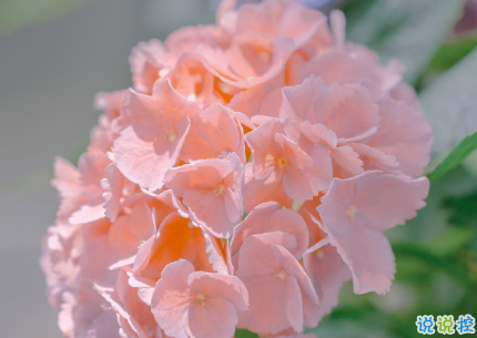 八月第一天經(jīng)典朋友圈帶圖片說說 遇見八月遇見所有美好10