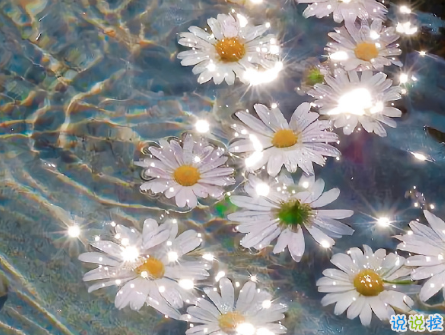 八月第一天經(jīng)典朋友圈帶圖片說說 遇見八月遇見所有美好12