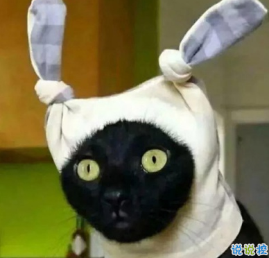 發(fā)個說說吸引人搞笑的短句 夏天來了我先黑為敬1