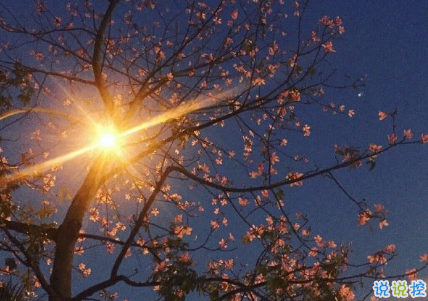 氣質(zhì)唯美適合各種心情的句子 一個人散步是和地球單獨的約會2