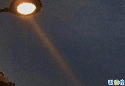 簡(jiǎn)短精辟的句子簡(jiǎn)單氣質(zhì) 沒(méi)有人要有義務(wù)對(duì)你好1