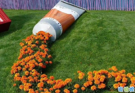 簡(jiǎn)短精辟的句子簡(jiǎn)單氣質(zhì) 沒(méi)有人要有義務(wù)對(duì)你好9