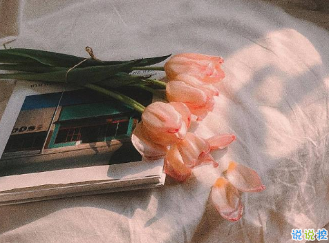 立秋早安說說帶圖片一句話短句 今日立秋祝你快樂1