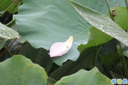 立秋勵(lì)志的句子正能量爆棚 希望熬過一切星光璀璨2