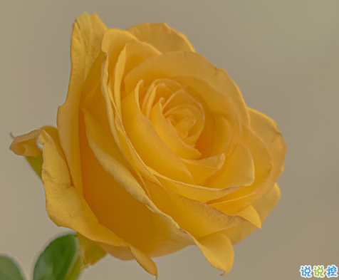 你是我的全部說(shuō)說(shuō)愛(ài)情 互相奔赴的愛(ài)情才會(huì)長(zhǎng)久2