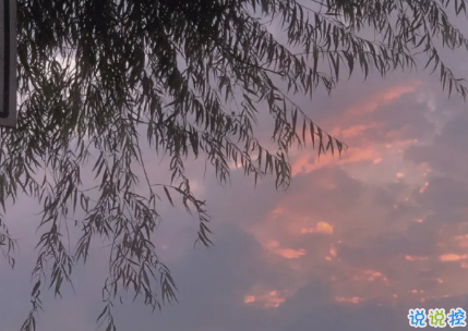 很酷很拽很有個性的簽名 所有偷過的懶都會變成打臉的巴掌13