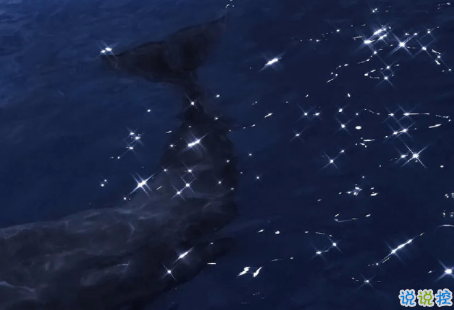 很酷很拽很有個性的簽名 所有偷過的懶都會變成打臉的巴掌15