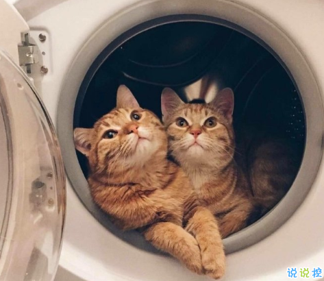 對人際交往的感悟說說 圈子不同不必強融2