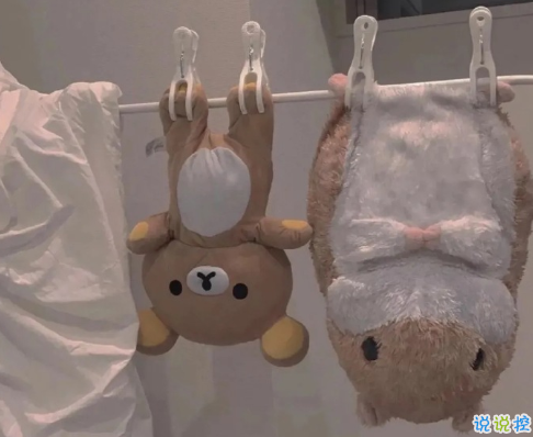 對人際交往的感悟說說 圈子不同不必強融1