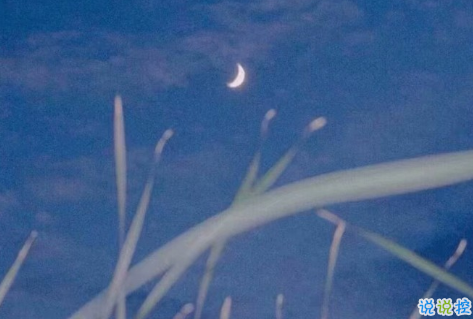 微信令人傷感的句子帶圖片 別總因為遷就別人就委屈自己3