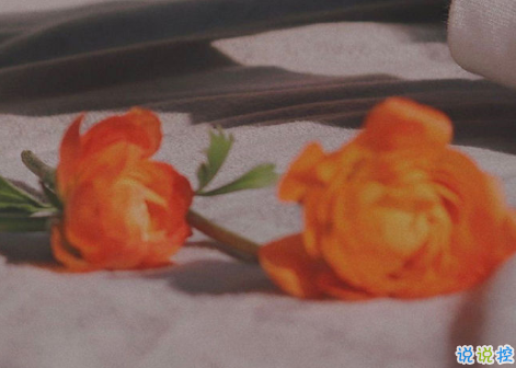 微信令人傷感的句子帶圖片 別總因為遷就別人就委屈自己7