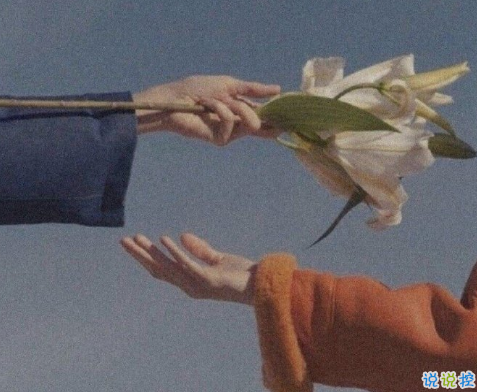 微信令人傷感的句子帶圖片 別總因為遷就別人就委屈自己10