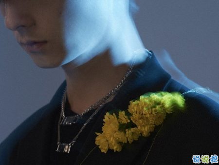 努力變優(yōu)秀的經(jīng)典語錄 你要做一個不動聲色的大人13